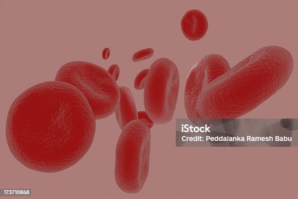 Célula Sanguínea - Fotografias de stock e mais imagens de Ampliação - Ampliação, Artéria Humana, Biologia