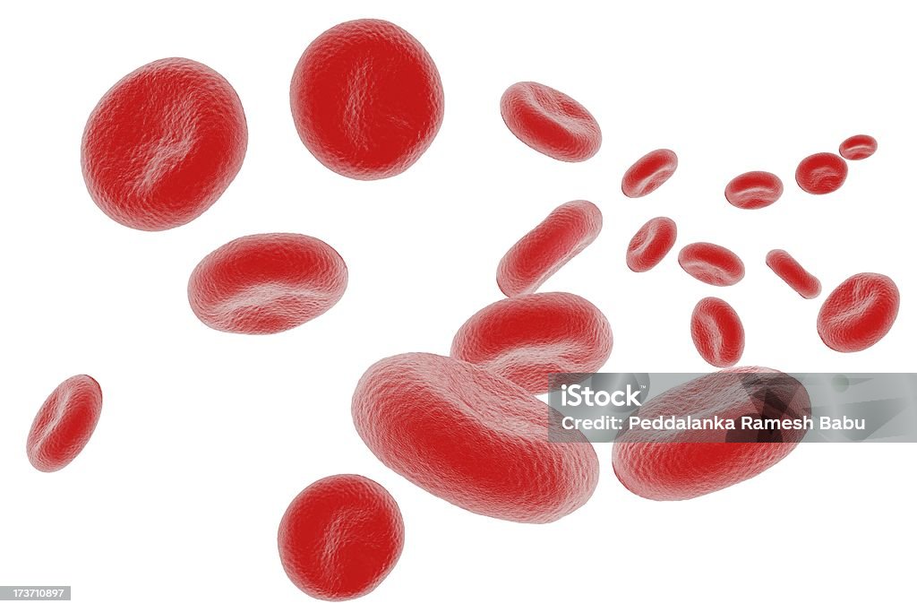Células sanguínea - Foto de stock de Arteria humana libre de derechos
