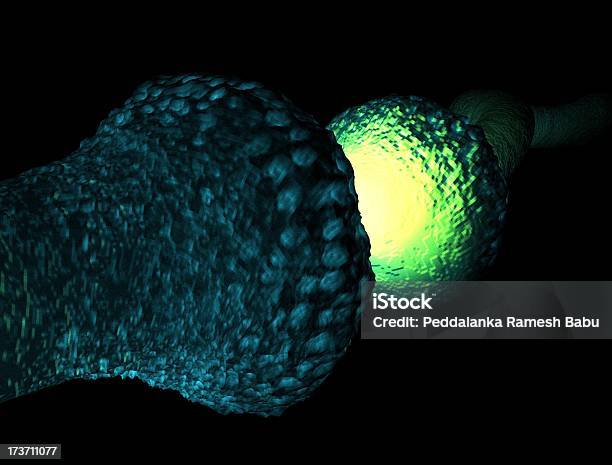 Foto de Neurone Ativo e mais fotos de stock de Anatomia - Anatomia, Ansiedade, Axônio