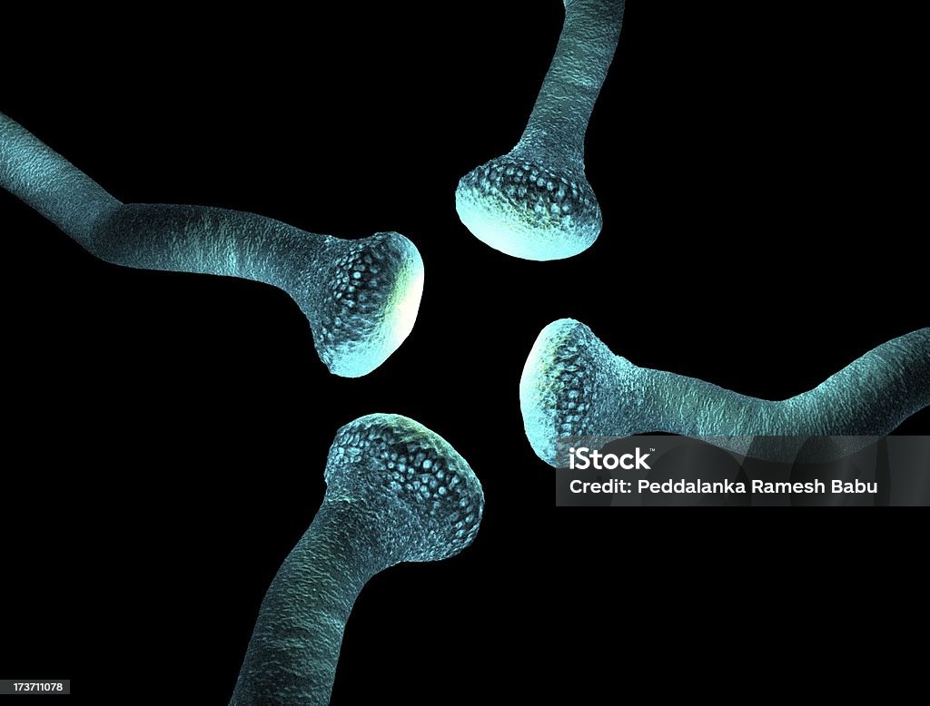 neurone activo - Foto de stock de Anatomía libre de derechos