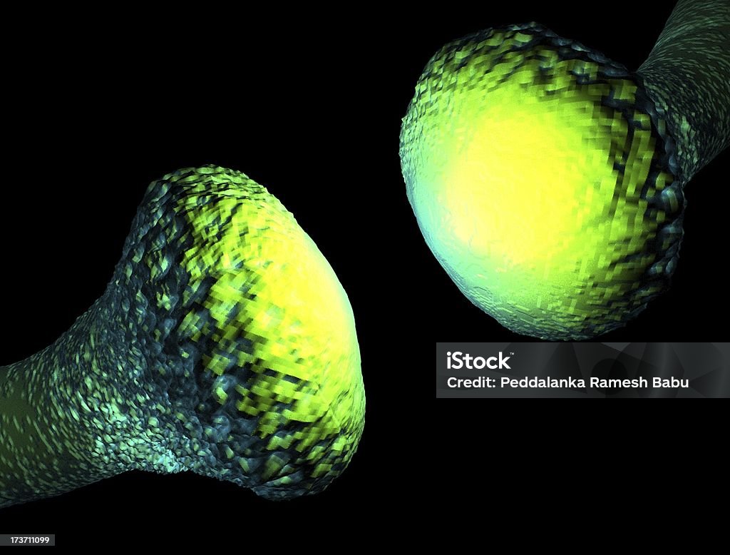 neurone active - Photo de Anatomie libre de droits