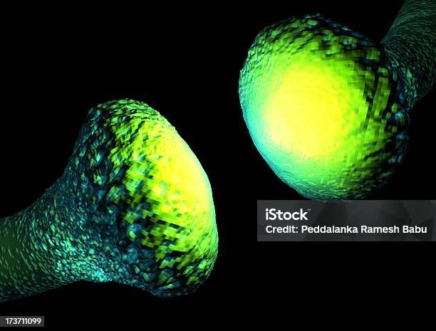 Photo libre de droit de Neurone Active banque d'images et plus d'images libres de droit de Anatomie - Anatomie, Anxiété, Axone