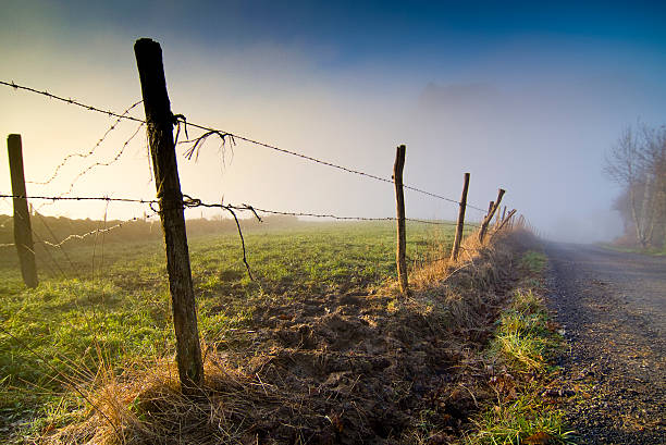 Fence delimiting the fields, Cantabria. Spain. Fence delimiting the fields, Cantabria. Spain. alambrada stock pictures, royalty-free photos & images