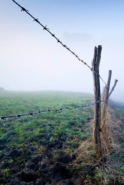 Fence delimiting the fields, Cantabria. Spain. Fence delimiting the fields, Cantabria. Spain. alambrada stock pictures, royalty-free photos & images