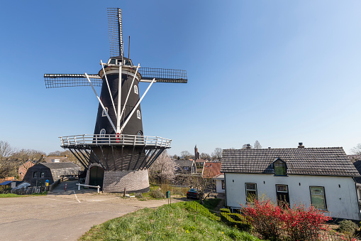 Mill in the Dutch village of Haaften on the Waal river.