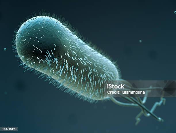 Escherichia Coli - zdjęcia stockowe i więcej obrazów Biegunka podróżnych - Biegunka podróżnych, Escherichia coli, Trójwymiarowy