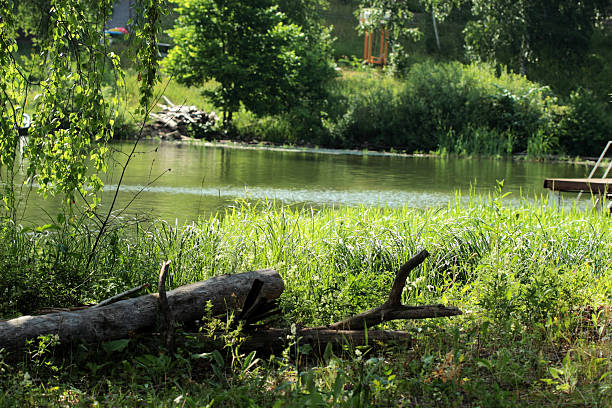 istock banks of the river 173714254