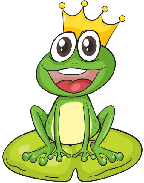 ilustrações de stock, clip art, desenhos animados e ícones de rã - white background close up frog amphibian