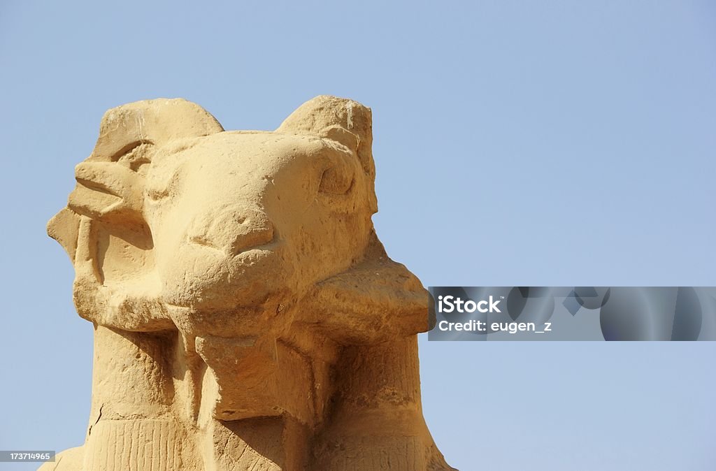 Sfinks. W świątyni Karnak złożone w Luxor, Egipt. - Zbiór zdjęć royalty-free (Afryka)
