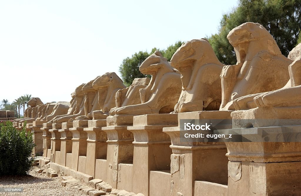 Avenue of the Sphinxes. Karnak 관자놀이 예술장, 이집트 룩소르. - 로열티 프리 건축물 스톡 사진