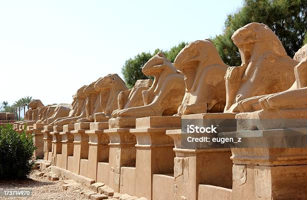 Avenue Of The Sphinxes Karnak Храмовый Комплекс Луксор Египет — стоковые фотографии и другие картинки Temple of Amun Hypostyle Hall