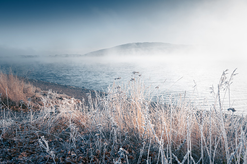 Frost-covered plants on the shore of lake in foggy morning. Selective focus. Winter landscape. Bannoye lake in South Ural, Russia