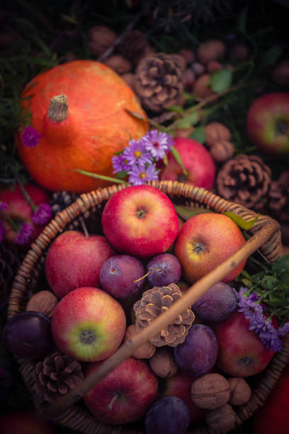 A basket with autumn fruits seen from above