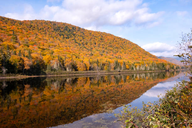 istock Colorful Fall Foliage Reflected in The Jacques-Cartier River in Quebec Canada 1737160793