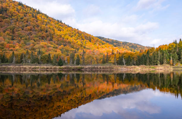 istock Colorful Fall Foliage Reflected in The Jacques-Cartier River in Quebec Canada 1737160809
