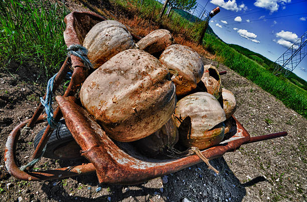 Carrinho de Mão cheio de abóboras - fotografia de stock