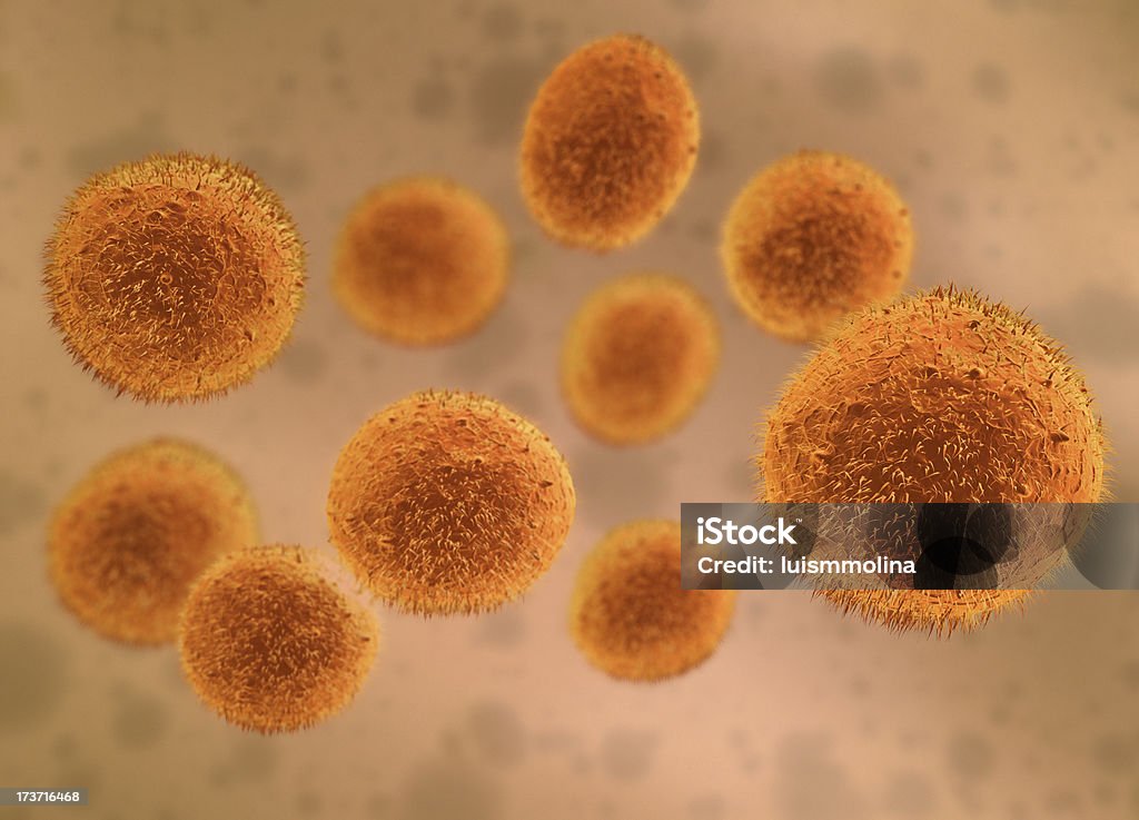 Stem Cell Detailed Image of  Stem Cells Artificial Stock Photo