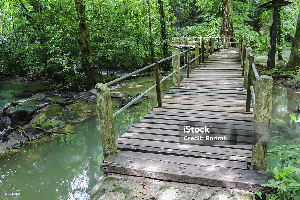 Ponte di legno nella foresta modo - Foto stock royalty-free di Acqua