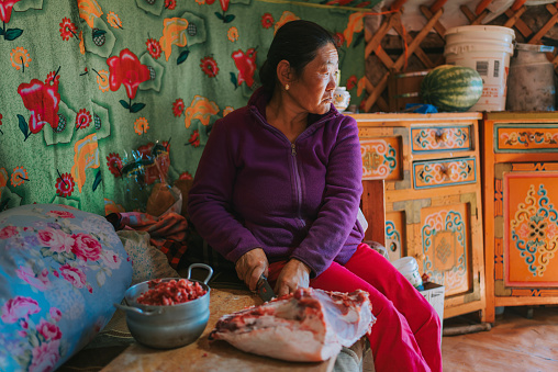 Mongolian woman cutting lamb meat preparing buuz