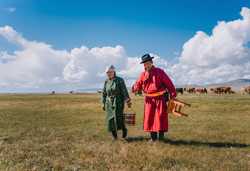 Happy Mongolian couple walking back to yurt after milking cow