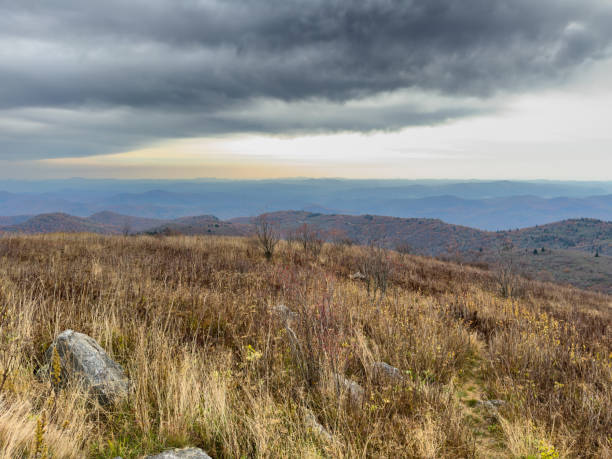 Brown Grasses Cover Black Balsam Mountain