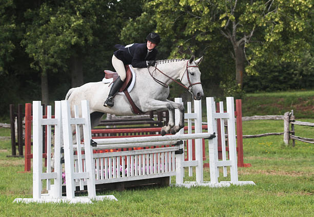 istock Keen Horse and Rider over Hunter Jump 173719159