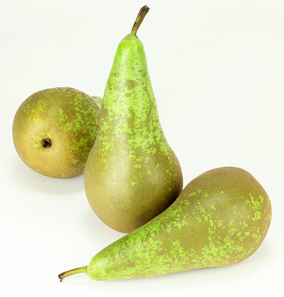 Three Pears Three Pears on plan background conference pear stock pictures, royalty-free photos & images