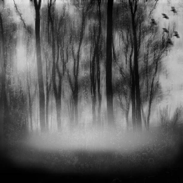 istock Melancholic misty forest landscape with fog and birds 173719461