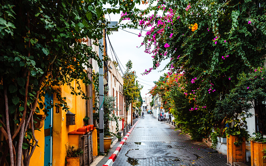 Street in Neve Tzedek neighborhood. Tel Aviv, Israel