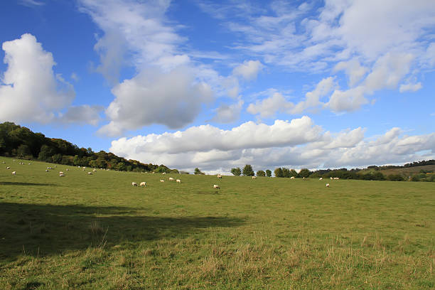 istock England farm Land 173722365