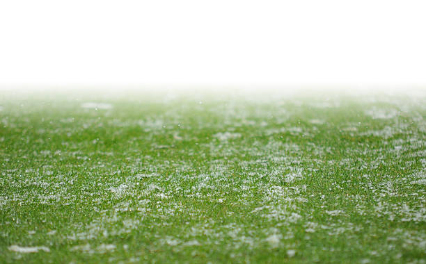 Neve su un campo da calcio - foto stock