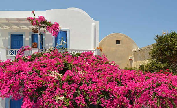 istock Oia Village Santorini 173722906