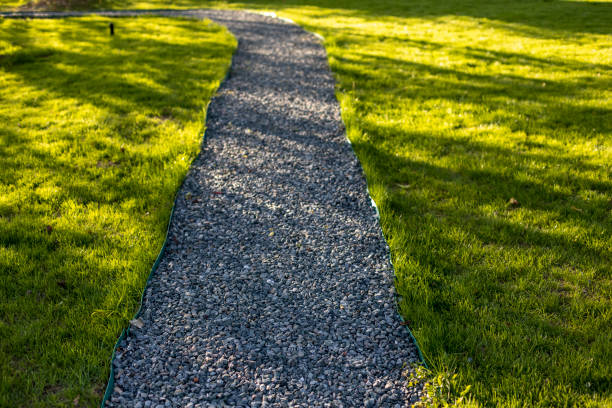 Garden stone path with grass growing up