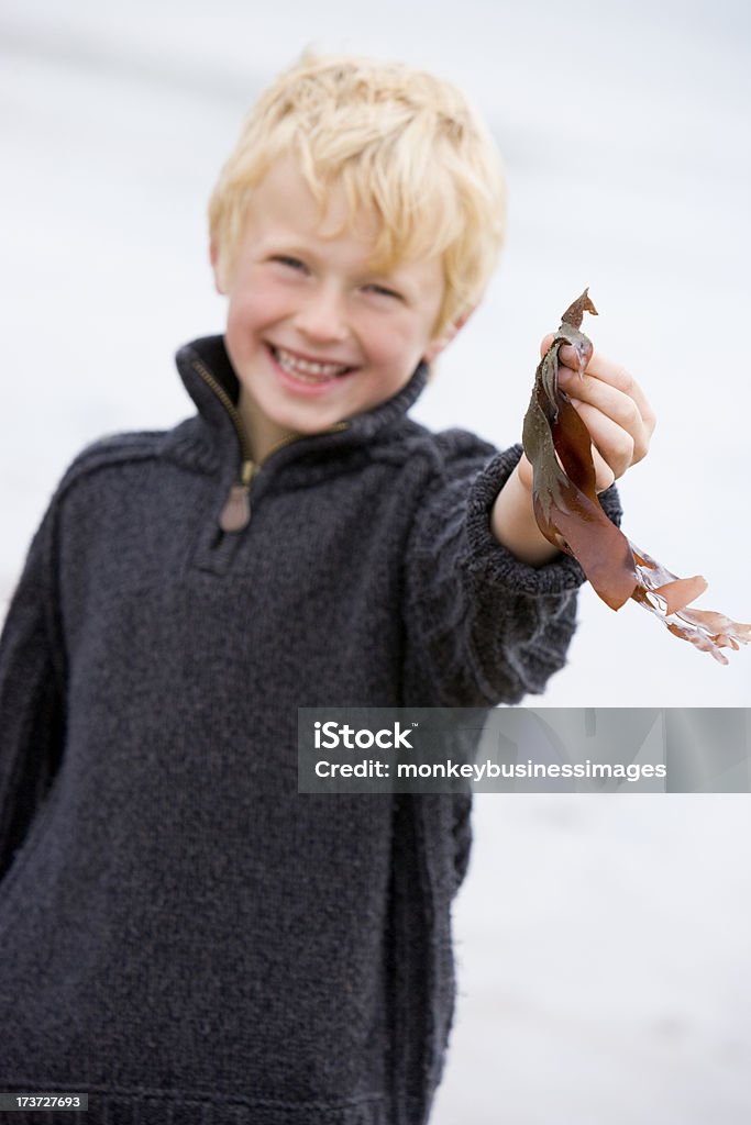 Giovane ragazzo in piedi sulla spiaggia, tenendo le foglie sorridente - Foto stock royalty-free di Abbigliamento