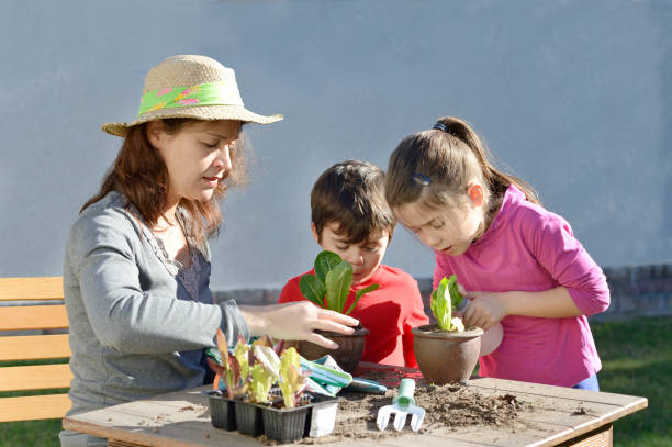 istock Mother teaching children to plant vegetables 173728292
