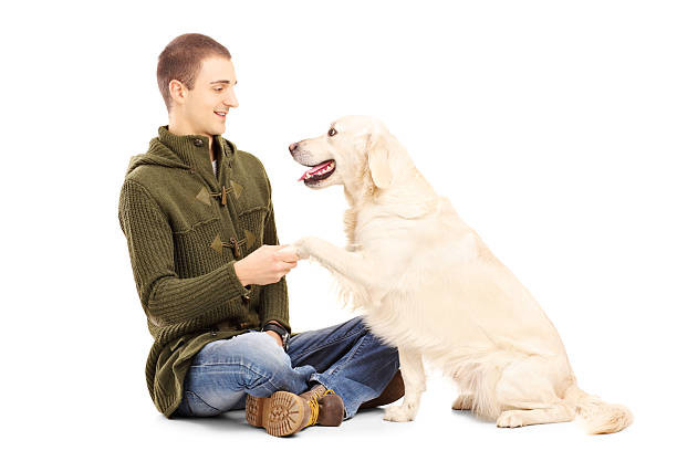istock Young man playing with a retriever dog 173728571
