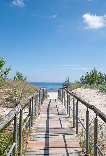 istock Footpath to Beach,baltic Sea,Germany 173728793
