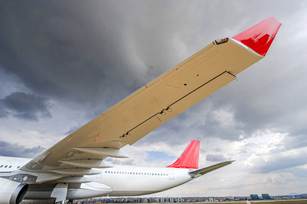 istock Large passenger plane and close-up wing view 1737291282