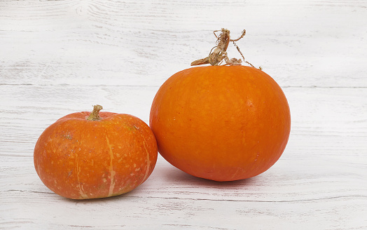 fresh pumpkin on a wooden background. The concept of healthy food, vegetables.