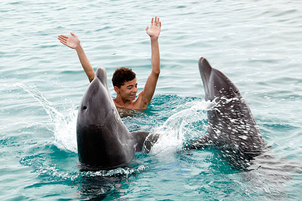 felice con i delfini - happy dolphin foto e immagini stock