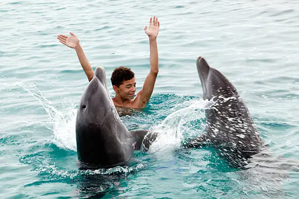Photo of Happy with the dolphins