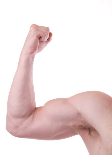 istock Flexed male muscular arm 173731812