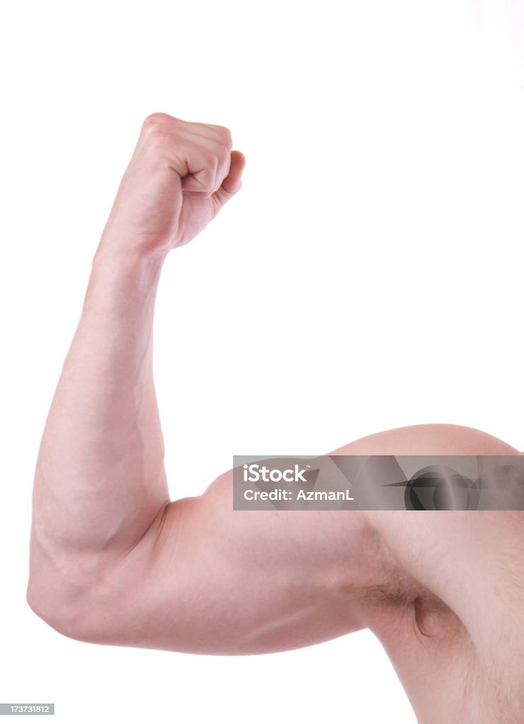 Flexed male muscular arm Flexed male muscular arm isolated on white background Adult Stock Photo