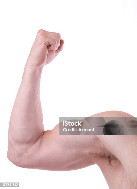 Flexed Male Muscular Arm Stock Photo - Download Image Now - Adult, Adults Only, Anaerobic Exercise