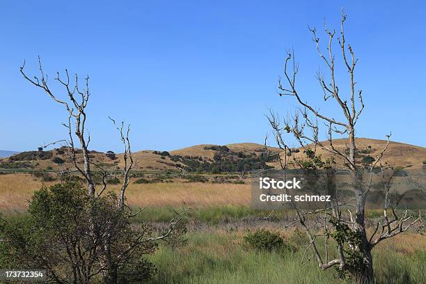 Coyote Hills Stock Photo - Download Image Now - California, Fremont - California, Grass