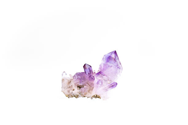 macro mineral stone amethyst cactus on a black background close-up