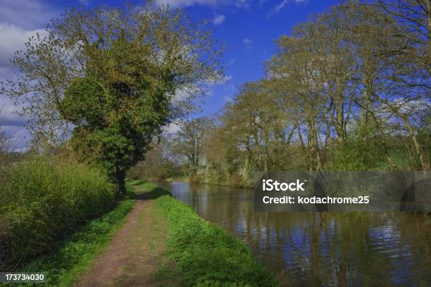 Canal De Foto de stock y más banco de imágenes de Agua - Agua, Aire libre, Arbusto