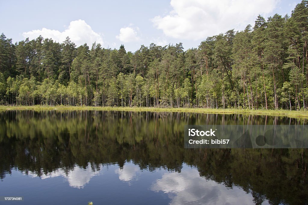 Lago en Mazury - Foto de stock de Agua libre de derechos