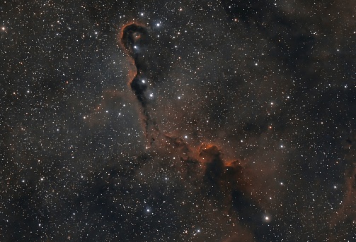 The Elephant's Trunk Nebula is a concentration of interstellar gas and dust within the much larger ionized gas region IC 1396 located in the constellation Cepheus about 2,400 light years away from Earth.