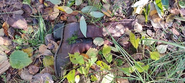Women's feet in severe black shoes stand on the long green grass with fallen into it yellowed birch leaves in the autumn season.